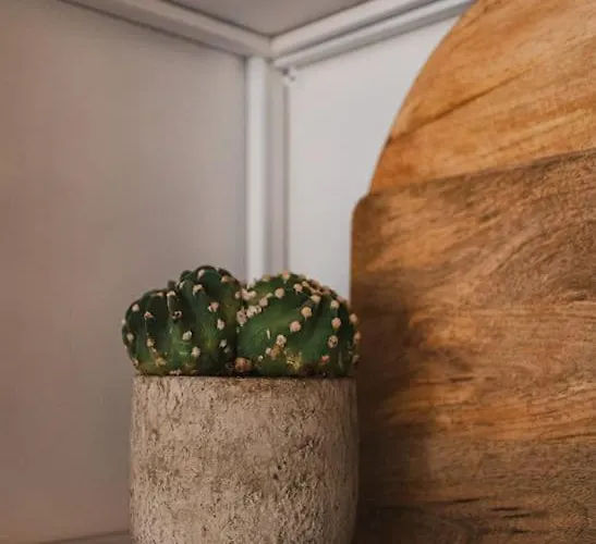 Op Familiepark Veluws Hof Op De Veluwe *